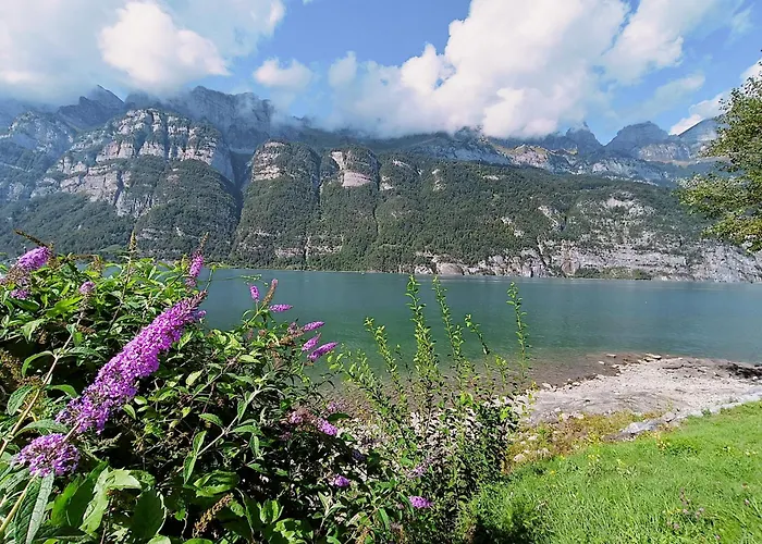 Marina Walensee Hotel 3*